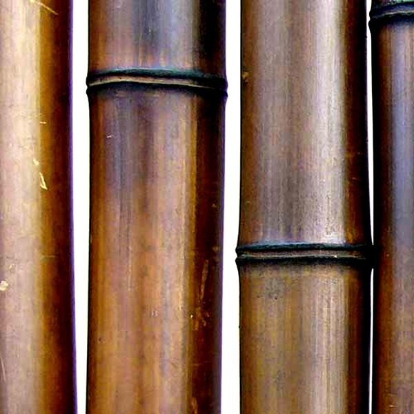 Бамбуковый ствол (шоколадный) D 20-30мм.